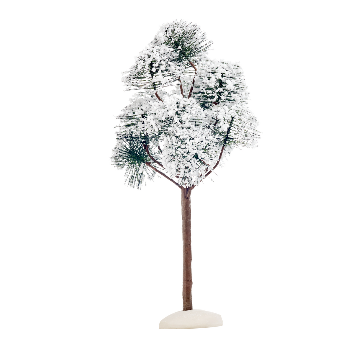LuVille Mountain pine