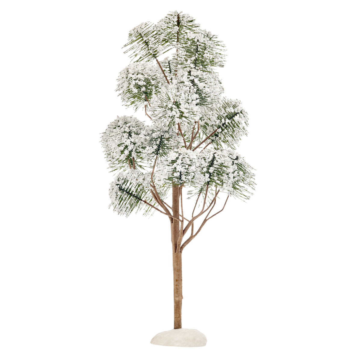 LuVille Mountain pine